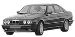 BMW E34 P1411 Fault Code